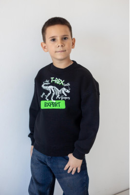 Дитячий світшот для хлопчиків з яскравою вишивкою